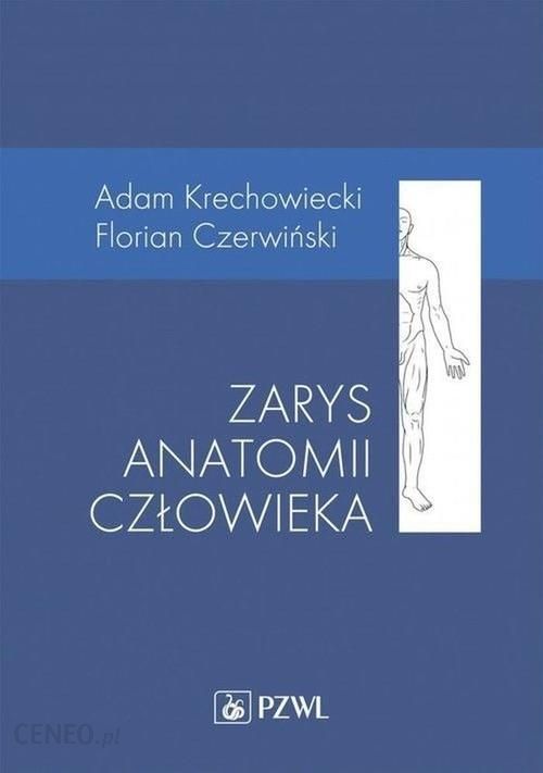 i-zarys-anatomii-czlowieka