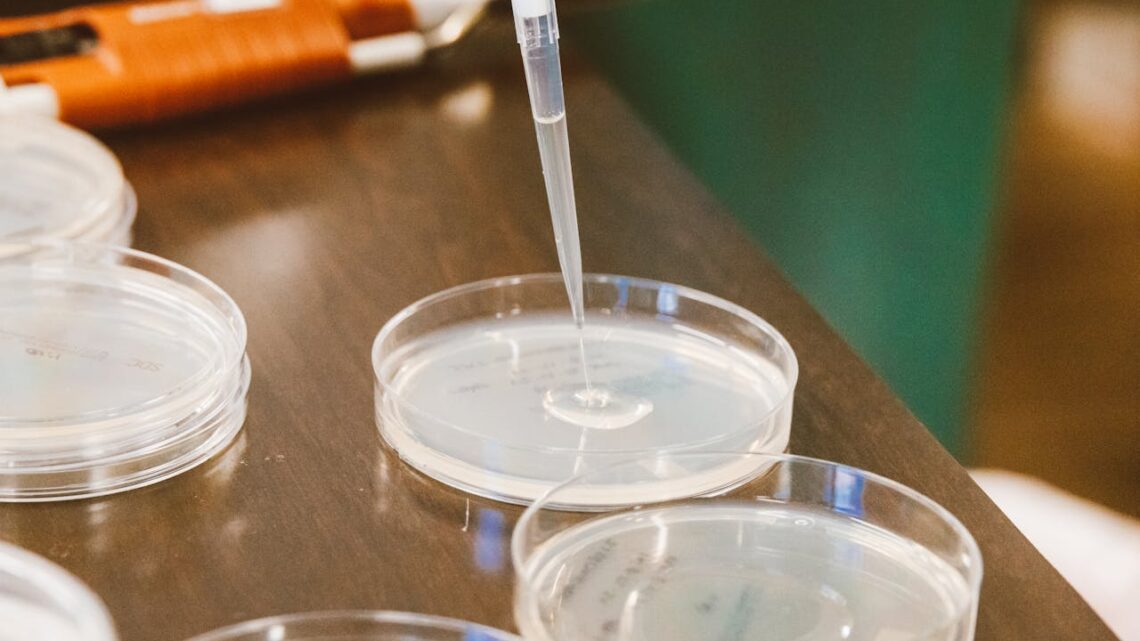 Szalki – niezbędny element pracy laboratoryjnej